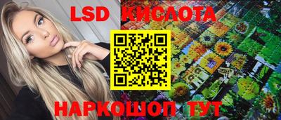 шишки Будённовск
