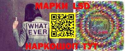 шишки Будённовск