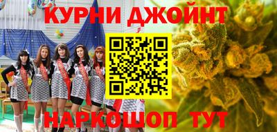 шишки Будённовск