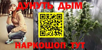 шишки Будённовск